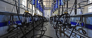 Cómo elegir la máquina de limpieza industrial adecuada para Granjas e instalaciones adyacentes
